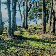 MOOGLY - NEW BEGININGS