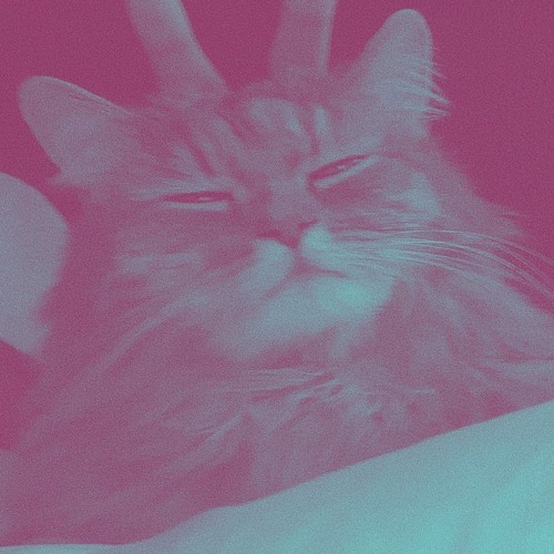 Stream Episode Маленький Котик By PEEdovka Podcast | Listen Online.