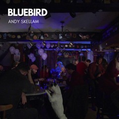 Bluebird - Andy Skellam