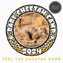 Feel The Cheetah Purr