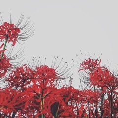 regret is death (feat. asa) (prod. inuyasha x zuriel)