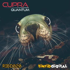 Cupra - Quantum (Tinrib Digital)