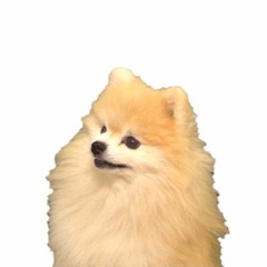 HONGKONG1 - Channy (Rap version) Prod. DanhLi