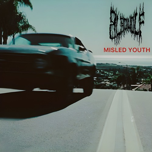 MISLED YOUTH