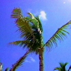 May Samples 20' w/ PesoRealSlimey, ilyromeu & Cashrunnxr