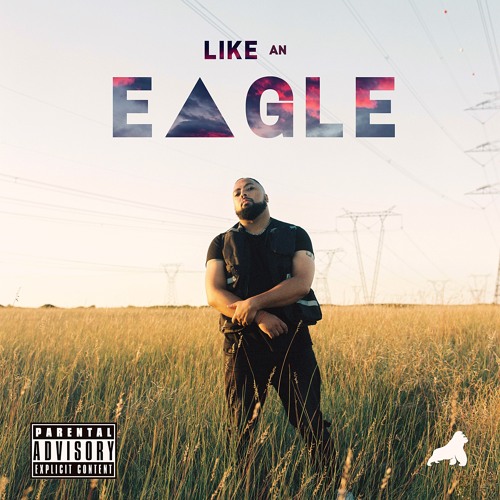 Like An Eagle (ft. TRP Don Gy)