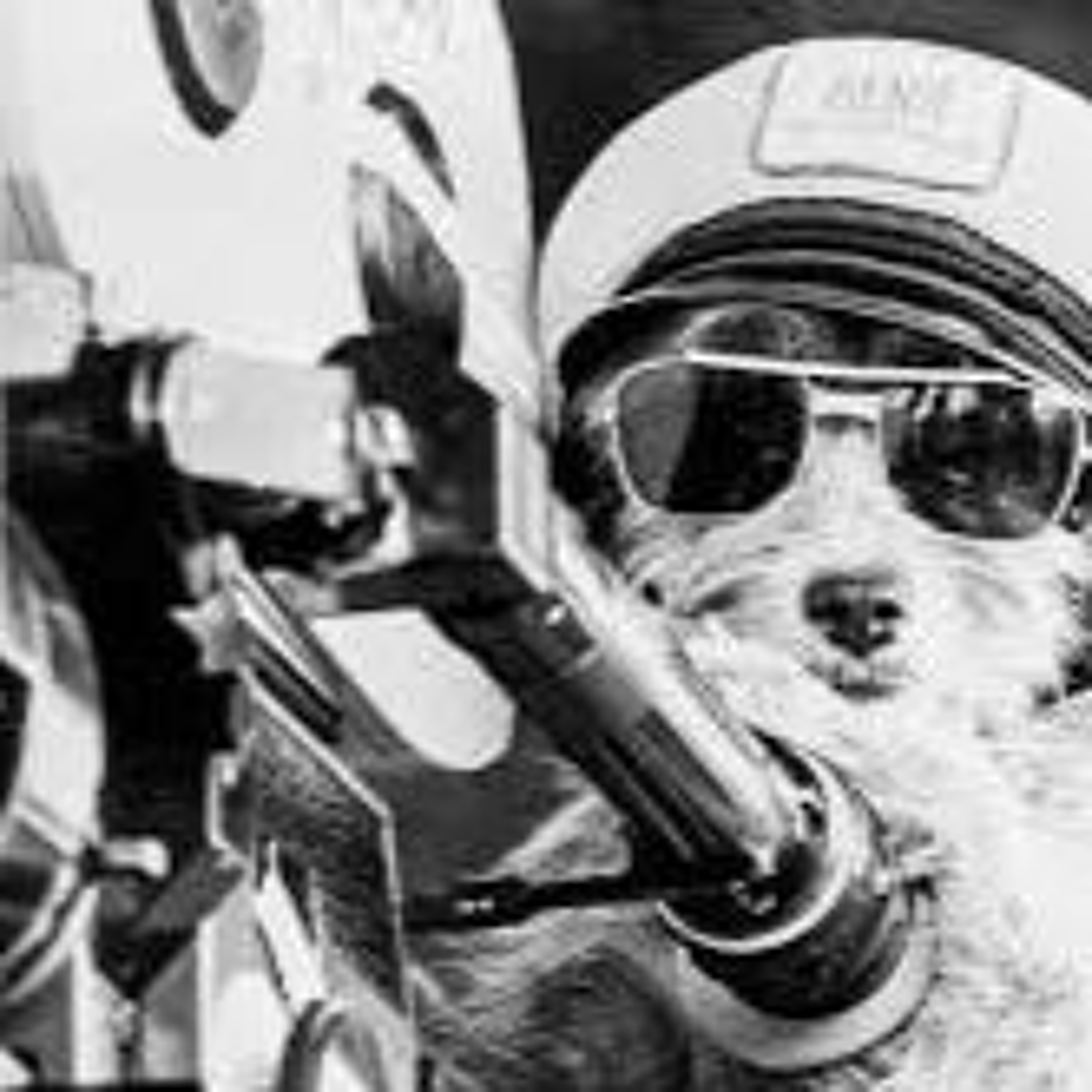 Episode 173: Dog Movies episode artwork
