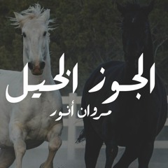 الجوز الخيل والعربية Marwan anwer's remix