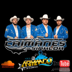 Los Caimanes De Sinaloa MixX _Los Exitos Perrones.[ArmandoDJ_-]
