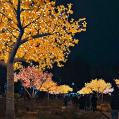 Içẽ (prod:thisZOOWe)