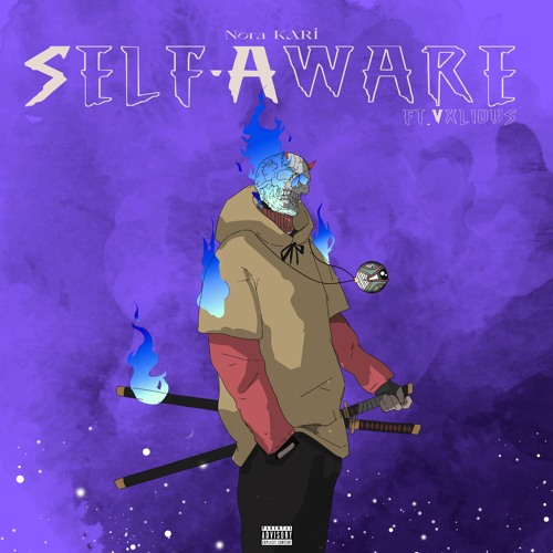 @norakarii - Self-Aware (ft. Vxlious) (prod. Jewelryboy)