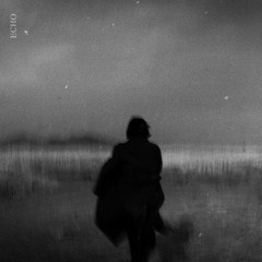 Echo - TAATI