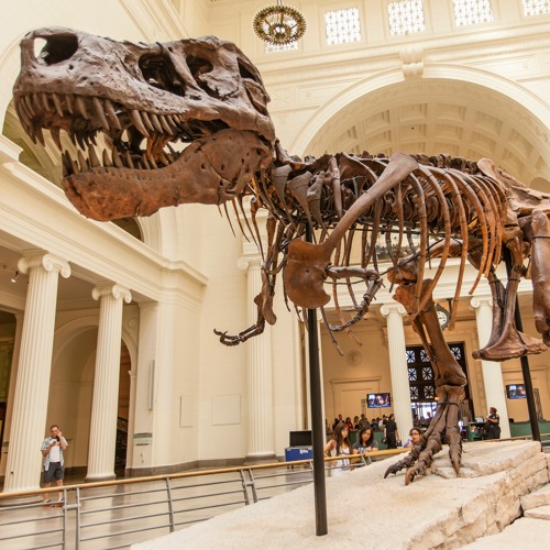 Scientists Say: Dinosaur by Science News for Students | Free Listening ...