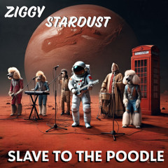 Ziggy Stardust