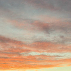 Beneath The Silent Sky