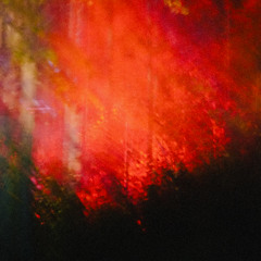 Koray at Schwing und Stampf Festival 2025