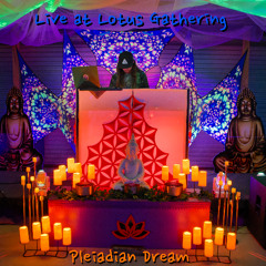 Live at Lotus Gathering