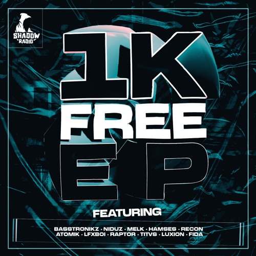 Hamses - Who you're talking to (SR026)(free download)