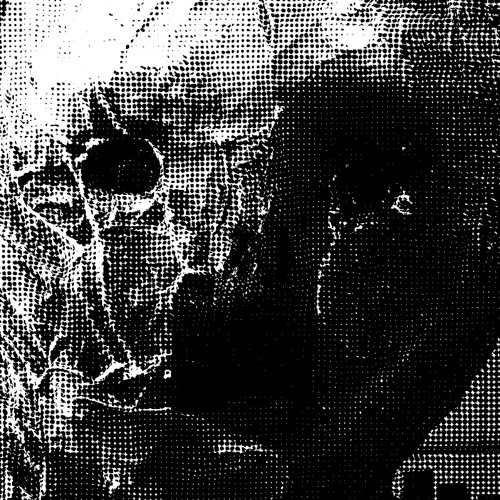 Necrosonic Frequencies Project