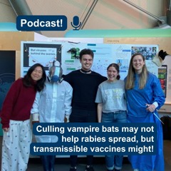 Culling vampire bats may not help rabies spread, but transmissible vaccines might! - Streicker Lab