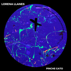 Lorena Llanes - Pinche Gato (Original Mix)_ TEC240