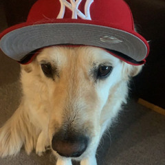 papaoutai (hoodtrap remix)