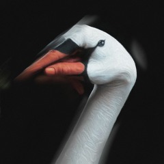 Caroline Polachek - Dang (Mothmat Remix)