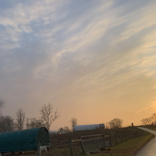 something comforting (cover)