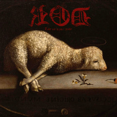 agnus