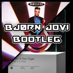 Vanilla Ice VS Raiden & Tom Tyger - C'est La Ice Ice Vibe (Bjorn Jovi's Booty Mash) FREE DOWNLOAD