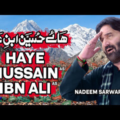 Hussain ibne Ali Nadeem Sarwar .mp3