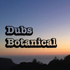 Dubs Botanical-Musical Warrior (Burning Soundz feat Ras Stone Redub)