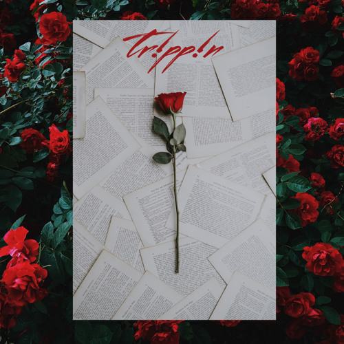 Tr!pp!n! (Prod. Nashi)(All Platforms)