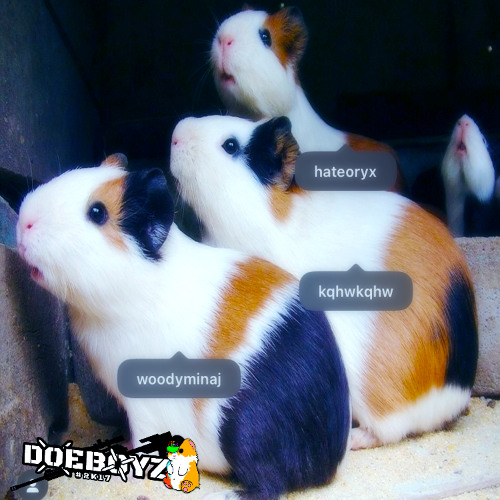 woody x kqhw x hateoryx - lets go