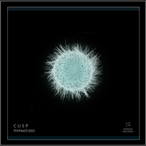 Cusp -Hypnotized