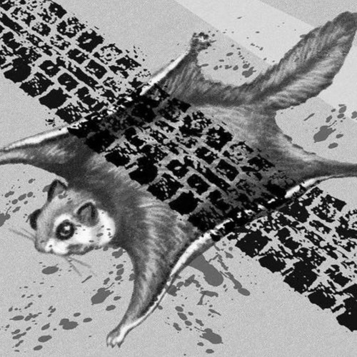 Roadkill