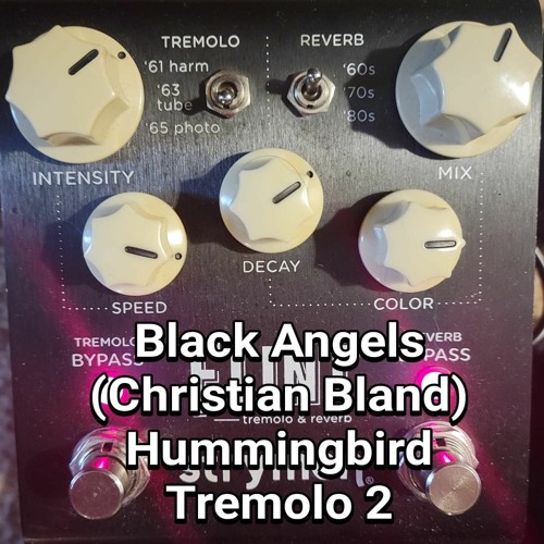 Strymon Flint - Black Angels (Christian Bland) Hummingbird Tremolo 2