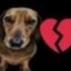 HEARTBREAK FOR DOG$ (prod. bxxxy)