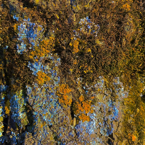 Glimmer