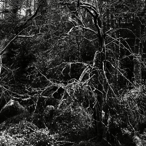 The Shadows are Moving