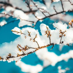 Fall + Winter | Inner Seasons