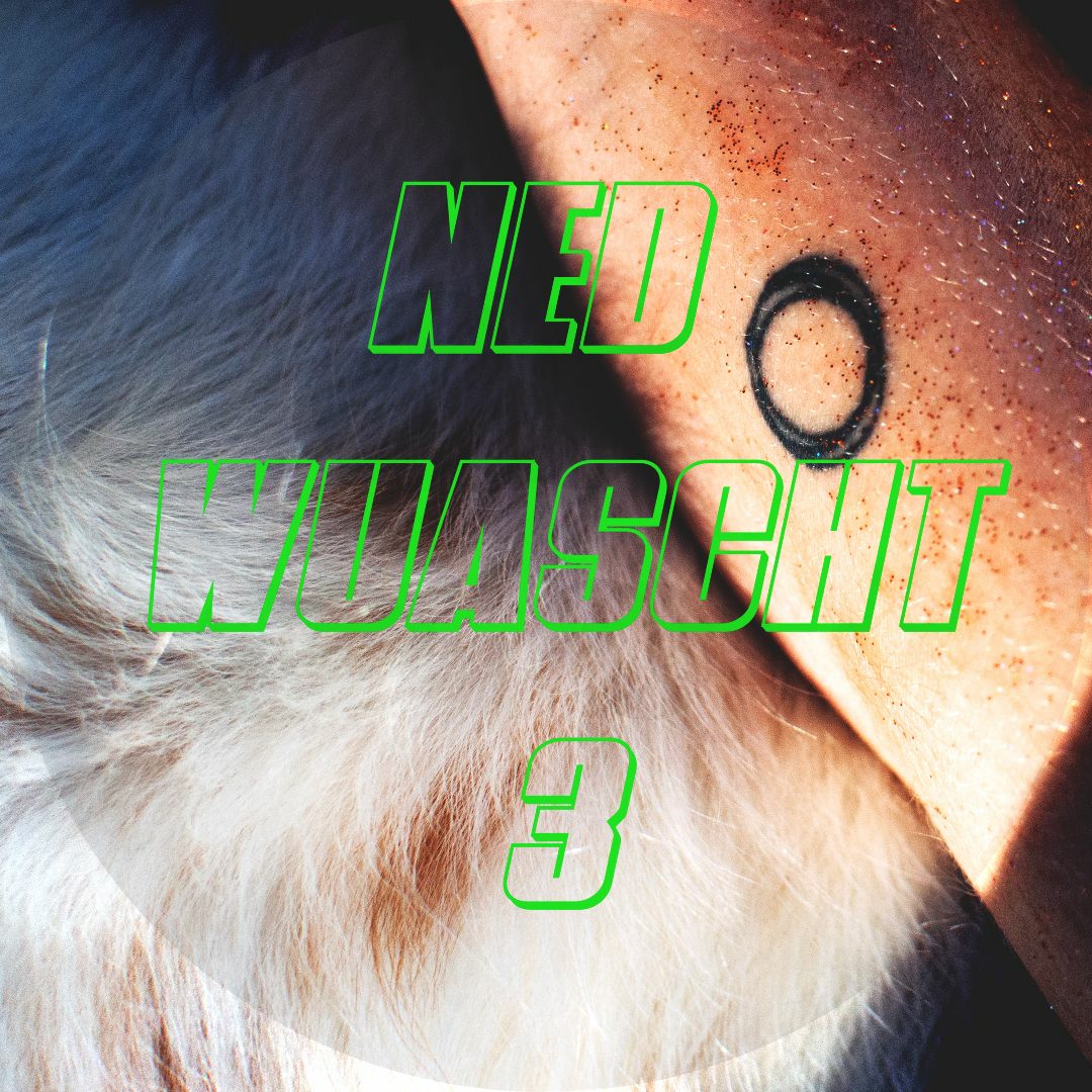Ned Wuascht