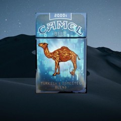 Camel Tears