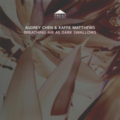 TR057 - Audrey Chen & Kaffe Matthews - 'Breathing air as dark swallows'
