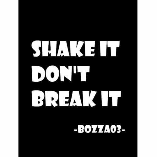 SHAKE IT DON'T BREAK IT - Bozza03