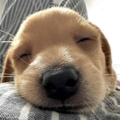 Your likes from Spotify