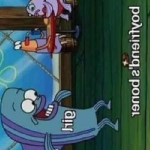 spongebob acceptance