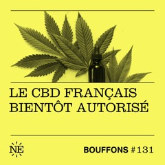 Bouffons #131 - Les CBD français bientôt autorisé