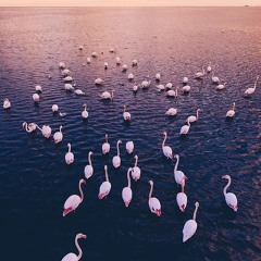 Santi Perez- In the beach