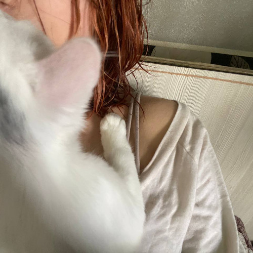 твои чувства (prod. thereddmelly)